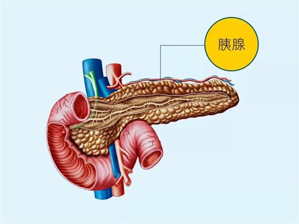 【世界胰腺癌日】關(guān)注胰腺癌，讓愛看得見