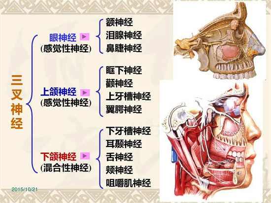 微信圖片_20250321110637.jpg