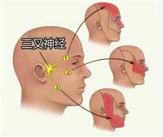 微信圖片_20250328112913.png